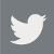 twitter-icon